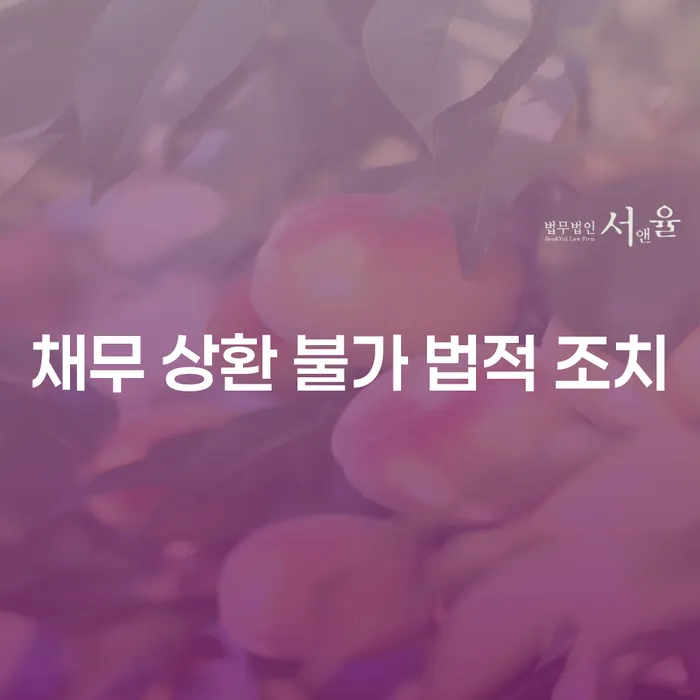 채무 상환 불가 시, 어떤 법적 조치를 취해야 할까요?
